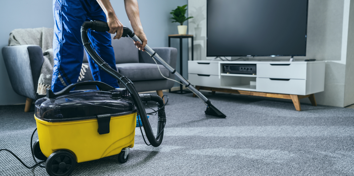 Fresho Carpet Cleaning Wilston Contact Office